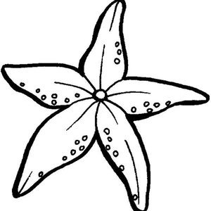 Meet your Posher, Alisha